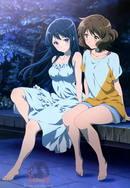 Hibike! Euphonium official image 3
