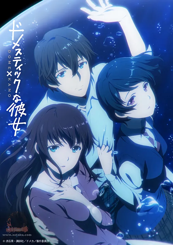 Domestic na Kanojo — صورة رسمية 3