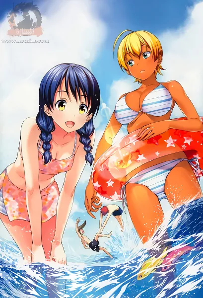 Shokugeki no Souma official image 2