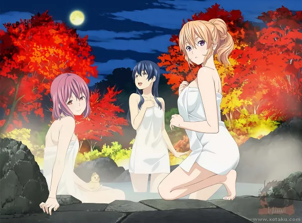 Shokugeki no Souma: Ni no Sara OVA official image 3