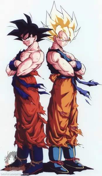 Dragon Ball Z official image 15
