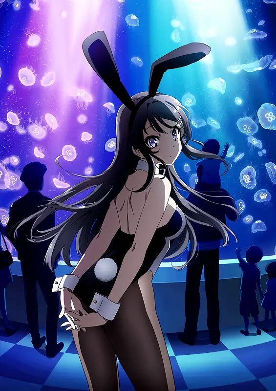 Seishun Buta Yarou wa Bunny Girl Senpai no Yume wo Minai — الغلاف الرسمي