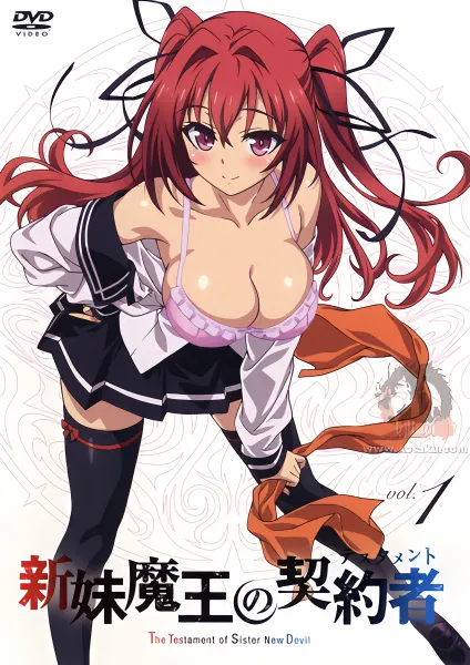 Shinmai Maou no Testament Burst official image 2