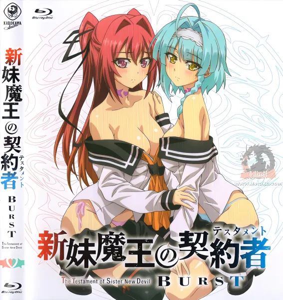 Shinmai Maou no Testament Burst official image 4