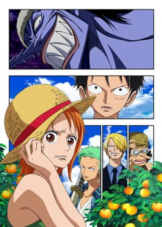 One Piece: Episode of Nami - Koukaishi no Namida to Nakama no Kizuna — الغلاف الرسمي