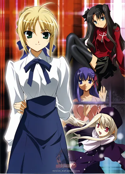 Fate/stay night — صورة رسمية 3
