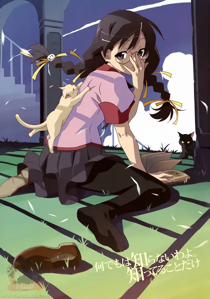 Bakemonogatari official image 4