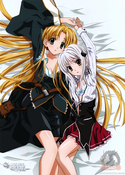 High School DxD — صورة رسمية 2