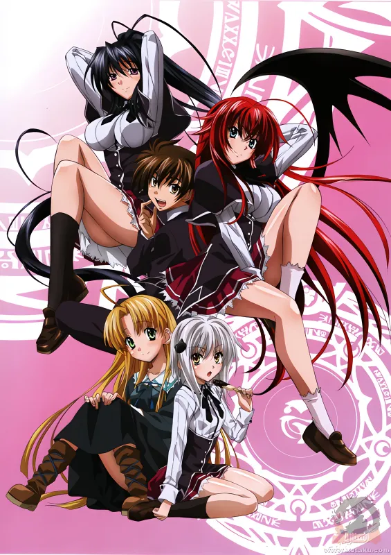 High School DxD — الغلاف الرسمي
